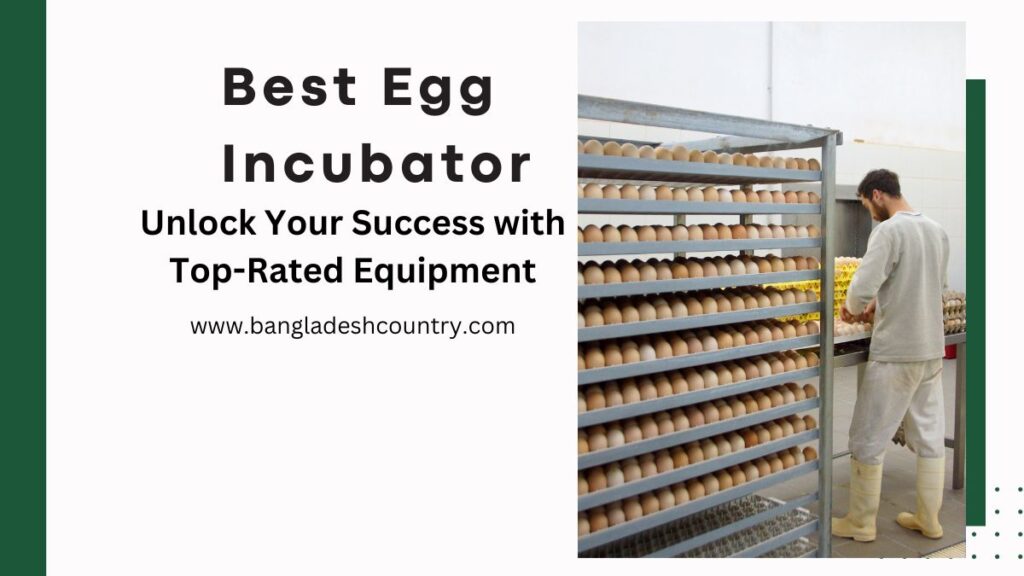 Best Egg Incubator