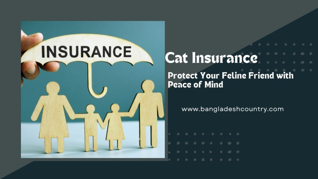 Cat Insurance