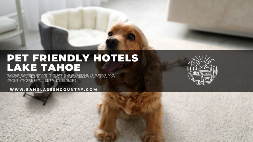 Pet Friendly Hotels Lake Tahoe