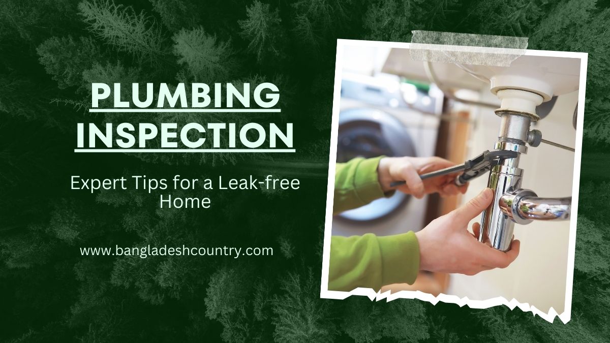 Plumbing Inspection : Expert Tips for a Leak-free Home