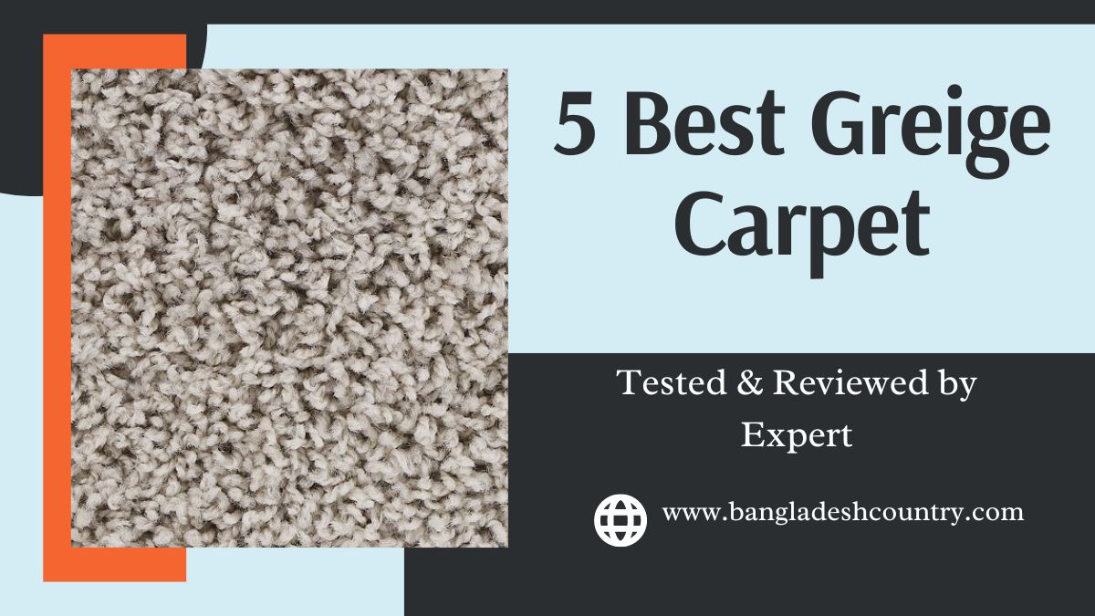 5 Best Greige Carpet, Tested & Reviewed by expert